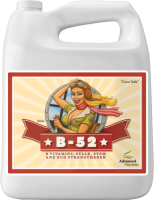 Advanced Nutrients B-52 | 4l