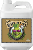 Advanced Nutrients Big Bud Coco | 0,5l