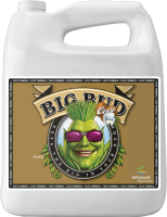Advanced Nutrients Big Bud Coco | 4l