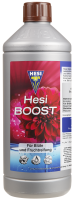 Hesi Boost | 1l