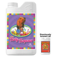 Advanced Nutrients Tasty terps| 1l