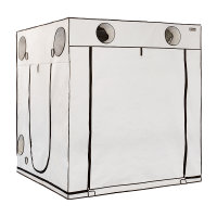 Homebox Ambient | Q200 Plus | 200 x 200 x 220cm | 2 Boxen