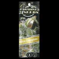 Paradise Seeds Indica Champions | Fem 6er