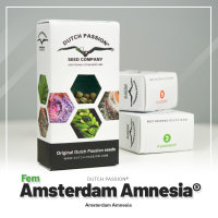Dutch Passion Amsterdam Amnesia | Fem | 100er