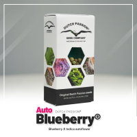 Dutch Passion Auto Blueberry | Auto | 100er