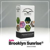 Dutch Passion Auto Brooklyn Sunrise | Auto | 100er