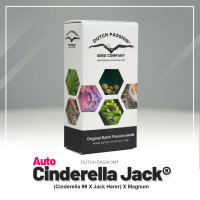 Dutch Passion Auto Cinderella Jack | Auto | 100er