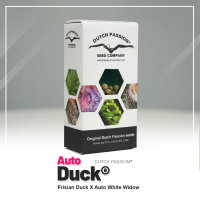 Dutch Passion Auto Duck | Auto | 3er