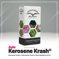 Dutch Passion Auto Kerosene Krash | Auto | 100er