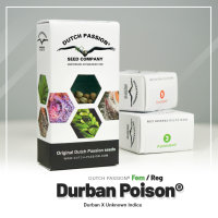 Dutch Passion Durban Poison | Reg | 10er