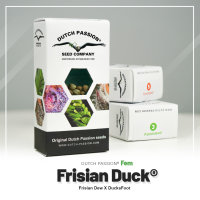 Dutch Passion Frisian Duck | Fem | 100er