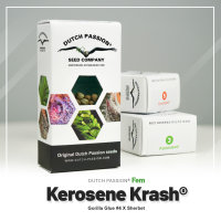 Dutch Passion Kerosene Krash | Fem | 5er