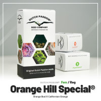 Dutch Passion Orange Hill Special | Fem | 100er