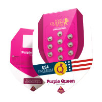 Royal Queen Purple Queen | Fem | 3er