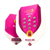 Royal Queen Royal AK | Fem | 3er
