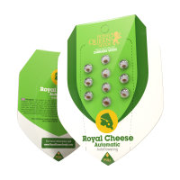 Royal Queen Royal Cheese | Auto | 3er