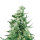 Royal Queen Royal Critical | Auto | 10er