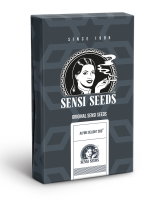 Sensi Seeds Alpine Delight CBD | Auto | 10er