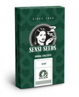 Sensi Seeds Big Bud | Reg | 10er
