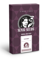Sensi Seeds Black Domina | Fem | 10er