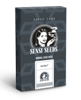 Sensi Seeds Blue Bullet | Auto | 10er