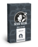 Sensi Seeds Northern Lights | Auto | 10er