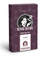 Sensi Seeds Sensi Amnesia | Fem | 10er