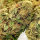 Super Sativa Seed Club Kosher Haze | Reg | 24er