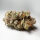 Super Sativa Seed Club Lava Freeze | Fem | 8er