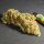 Super Sativa Seed Club Pineapple Poison | Fem | 5er