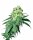 White Label Rhino | Reg | 10er