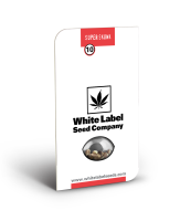 White Label Super Skunk | Reg | 10er