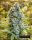 Silent Seeds Moby Dick | Fem | 5er