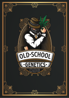 Old School Genetics | Old Mans Silver Haze 98 | Fem | 3er
