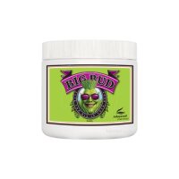 Advanced Nutrients BIG BUD PULVER 2500g