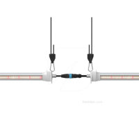 INTER CANOPY LED