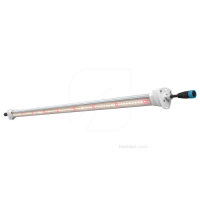 INTER CANOPY LED