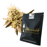 Humboldt Seeds Mouth Wash | Feminisiert | 10 Samen