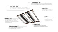 Lumenking 720 W Led